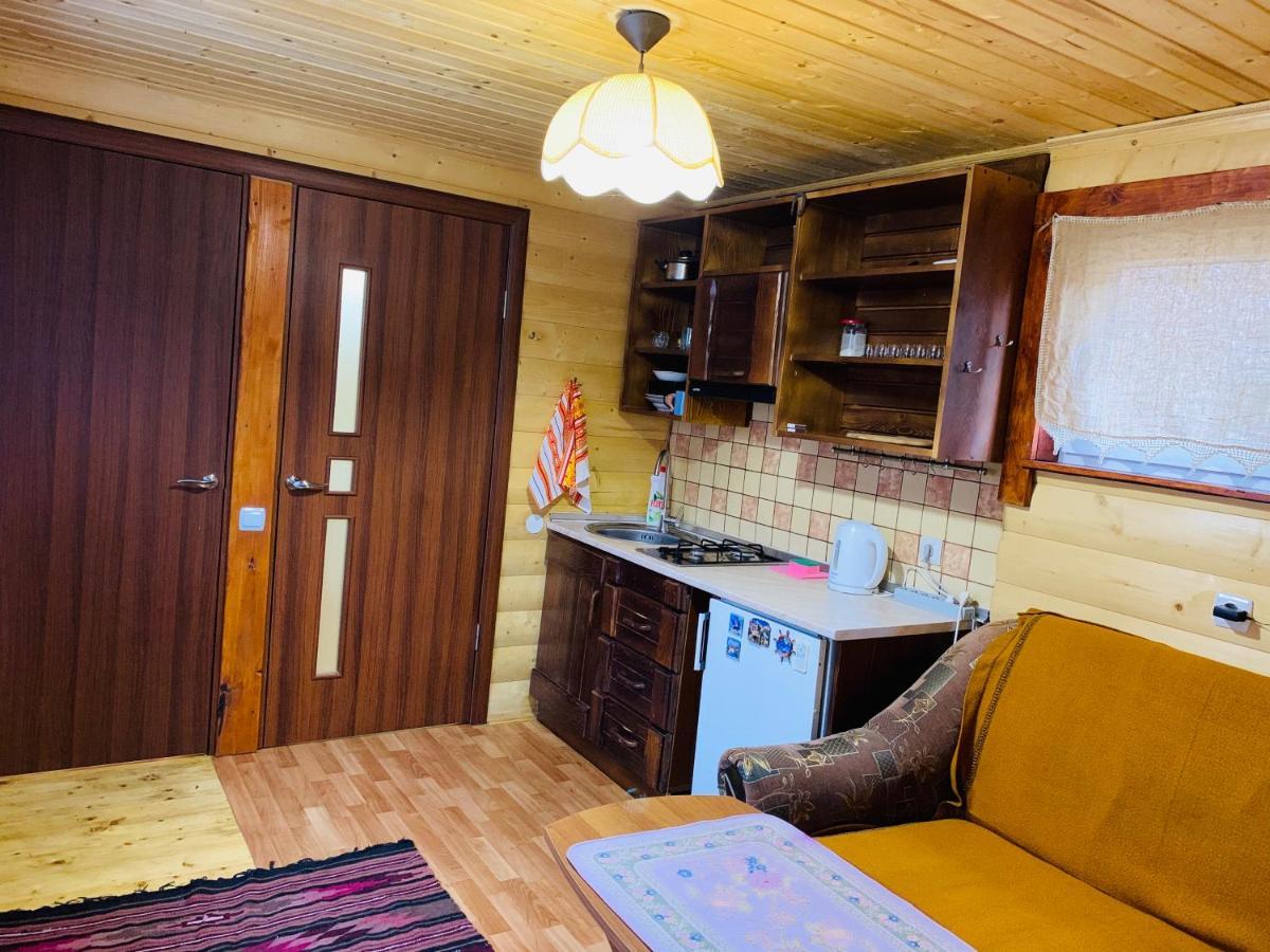 Chalet Vedmezhe Polyana  Exterior photo