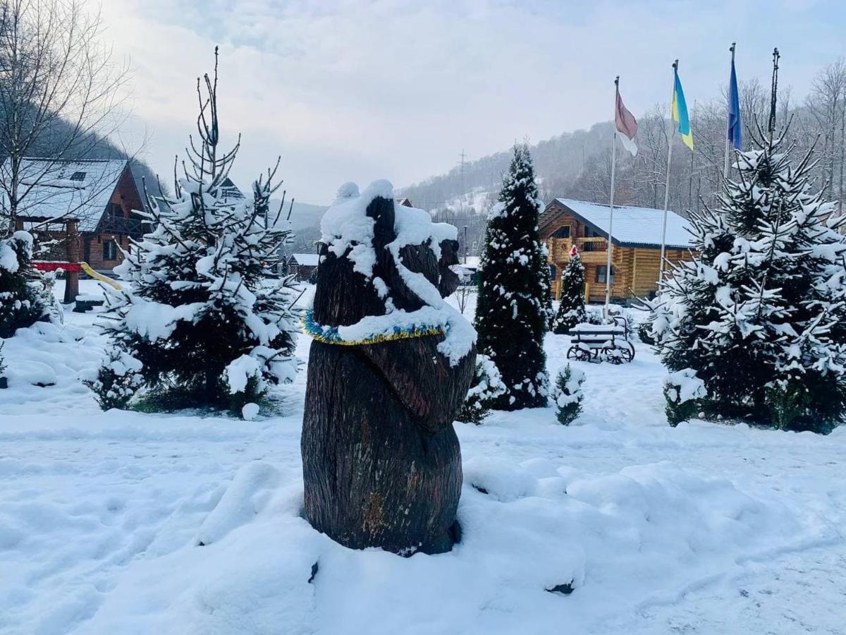 Chalet Vedmezhe Polyana  Exterior photo