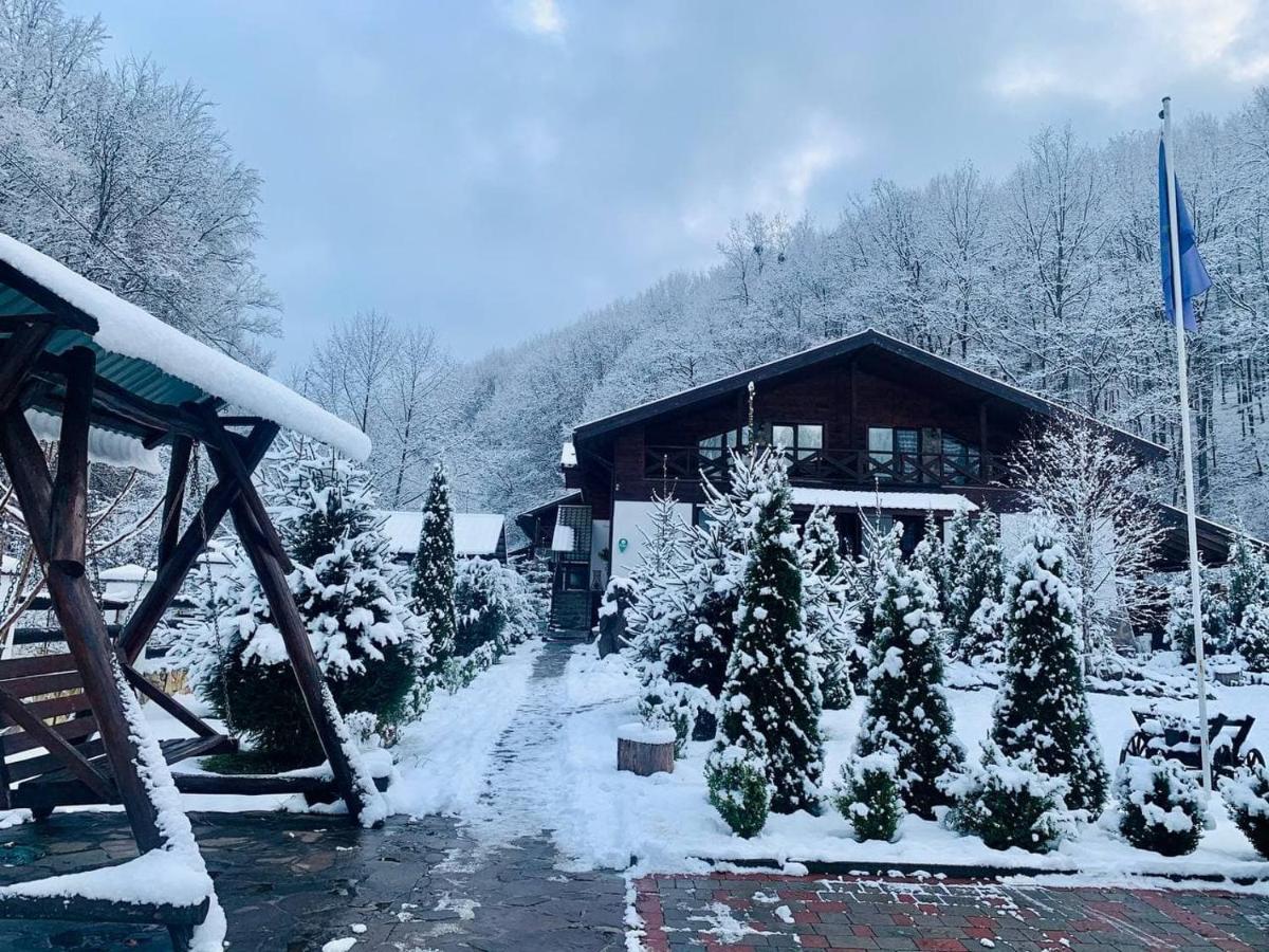 Chalet Vedmezhe Polyana  Exterior photo