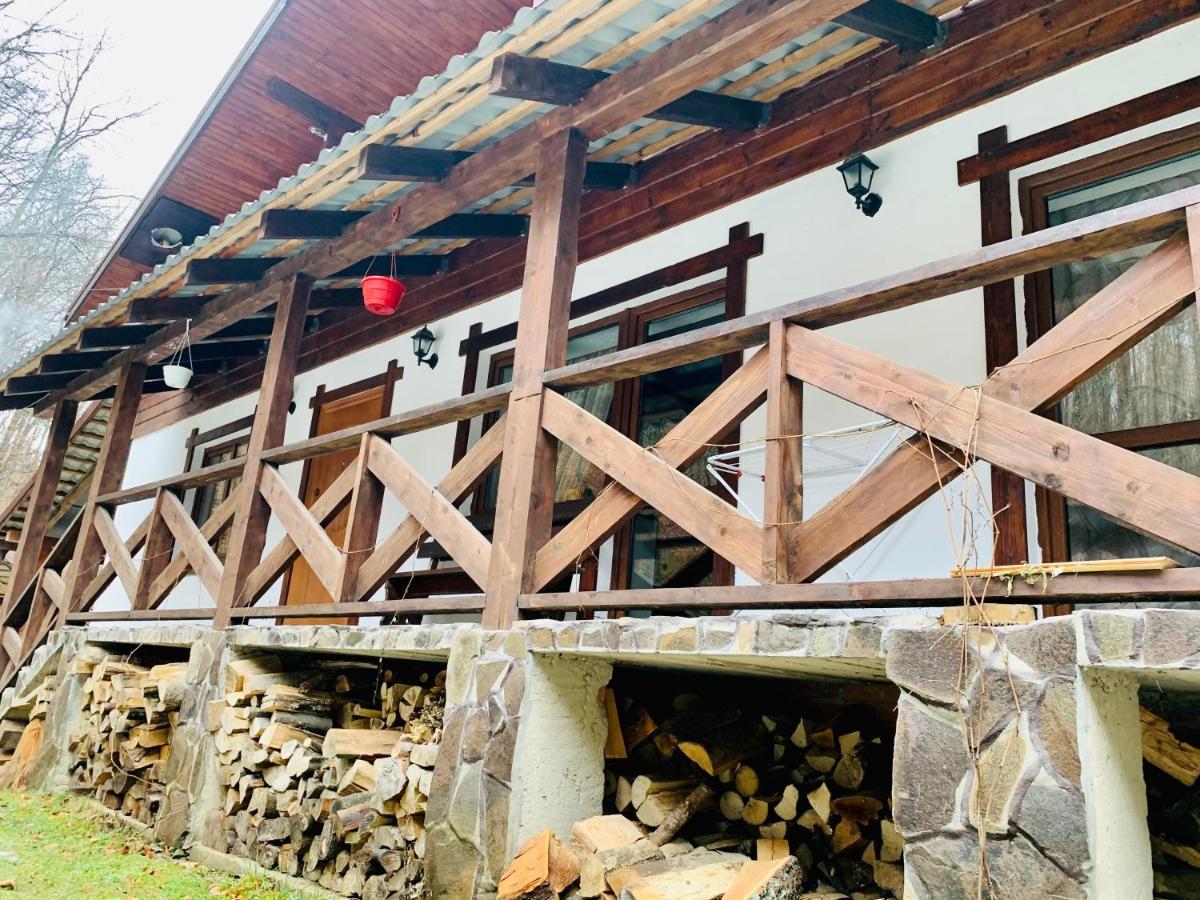 Chalet Vedmezhe Polyana  Exterior photo